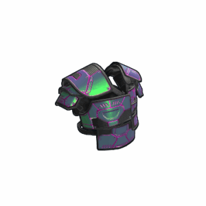 Chameleon Roadsign Vest