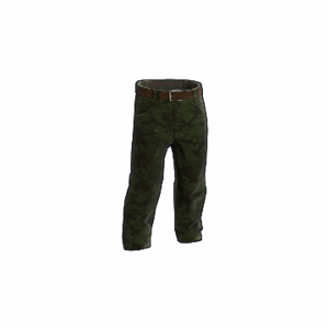 Forest Camo Pants