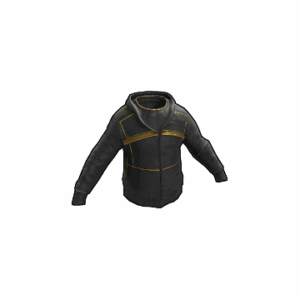 Black Gold Hoodie