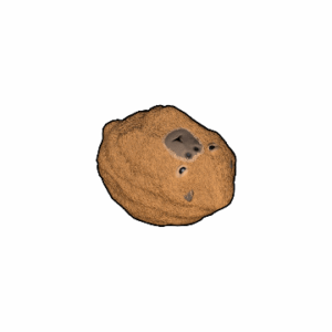 Capybara Rock