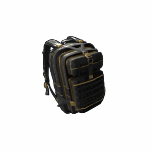 Black Gold Backpack